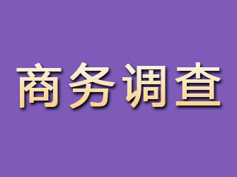 任县商务调查