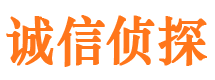 任县市侦探调查公司